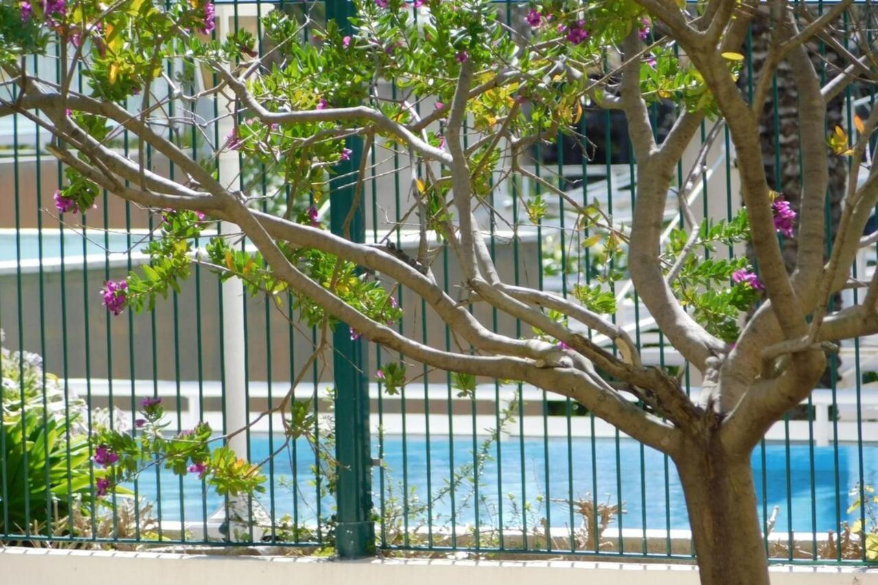 Ferienwohnung "T2 "Antibes Les Pins 3" Air Conditionned Sea View With Parking And Pool" Exterior foto